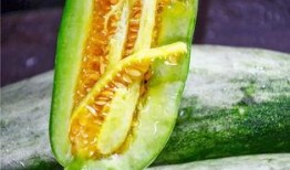 网红无偿吃瓜,揭秘网络红人幕后生活